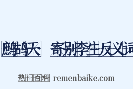 鹧鸪天·寄别李生反义词是什么意思的图片